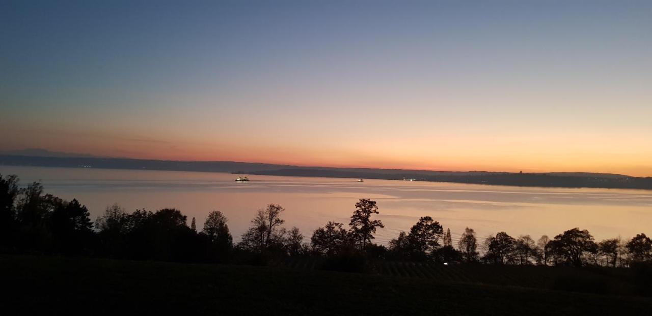 Lakeview Penthouse Meersburg Dış mekan fotoğraf