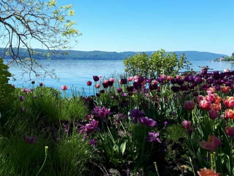 Lakeview Penthouse Meersburg Dış mekan fotoğraf