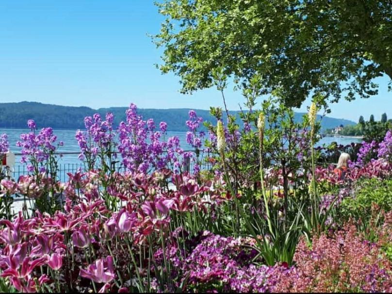 Lakeview Penthouse Meersburg Dış mekan fotoğraf