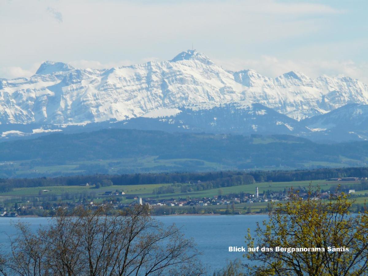 Lakeview Penthouse Meersburg Dış mekan fotoğraf